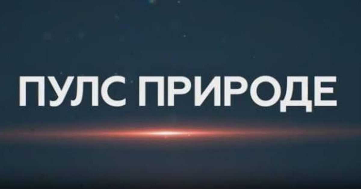 Пулс природе: Аранђеловац
