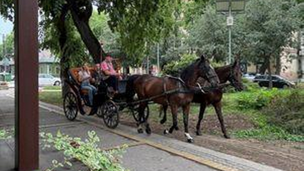 Еко перспективе: Зелени бисери Србије: Сомбор, 1. део