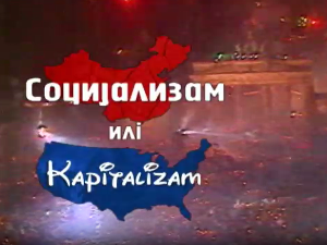 Социјализам или капитализам: Божидар Шујица