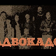 Адвокадо, 11-20