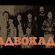 Адвокадо, 13-20