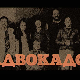 Адвокадо, 15-20