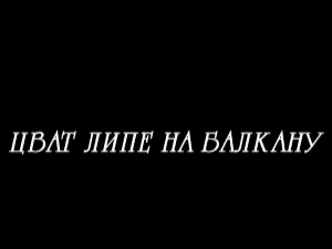 Цват липе на Балкану, 4-13