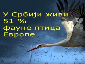 Зелени часовник: Четврта емисија