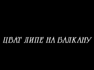 Цват липе на Балкану, 6-13