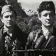 Диверзанти