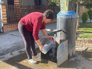 Паноникум: Жута вода у Бачкој