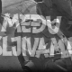 Међу шљивама