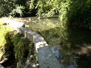 И у време суше меље жито: Ваљевска воденица пркоси ниском водостају