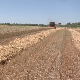 Добри приноси пшенице 
