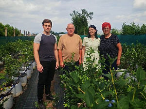 Младост и искуство