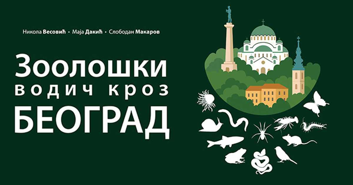 Београд какав не познајемо – „Зоолошки водич кроз Београд“ открива богатство животињског света града