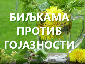 Еко минијатуре/ лековито биље-Биљкама против гојазности
