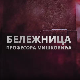 Бележница професора Мишковића, 1-12