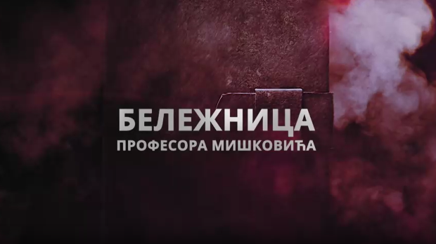 Бележница професора Мишковића, 2-12