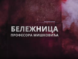 Бележница професора Мишковића, 3-12