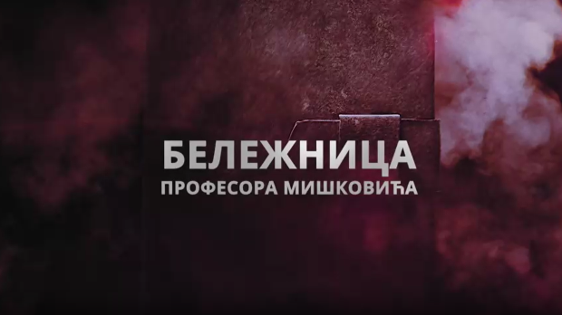 Бележница професора Мишковића, 4-12