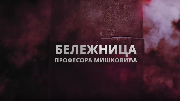 Бележница професора Мишковића, 4-12