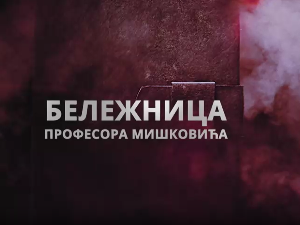 Бележница професора Мишковића, 5-12