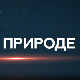 Пулс природе: Аранђеловац