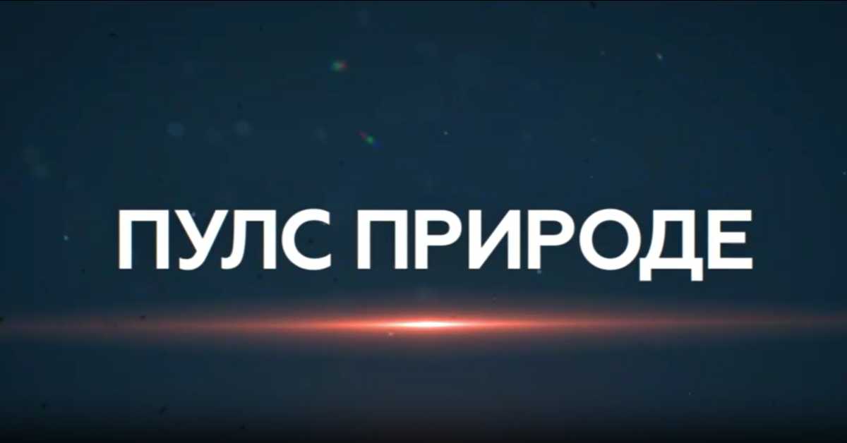 Пулс природе: Врхпоље