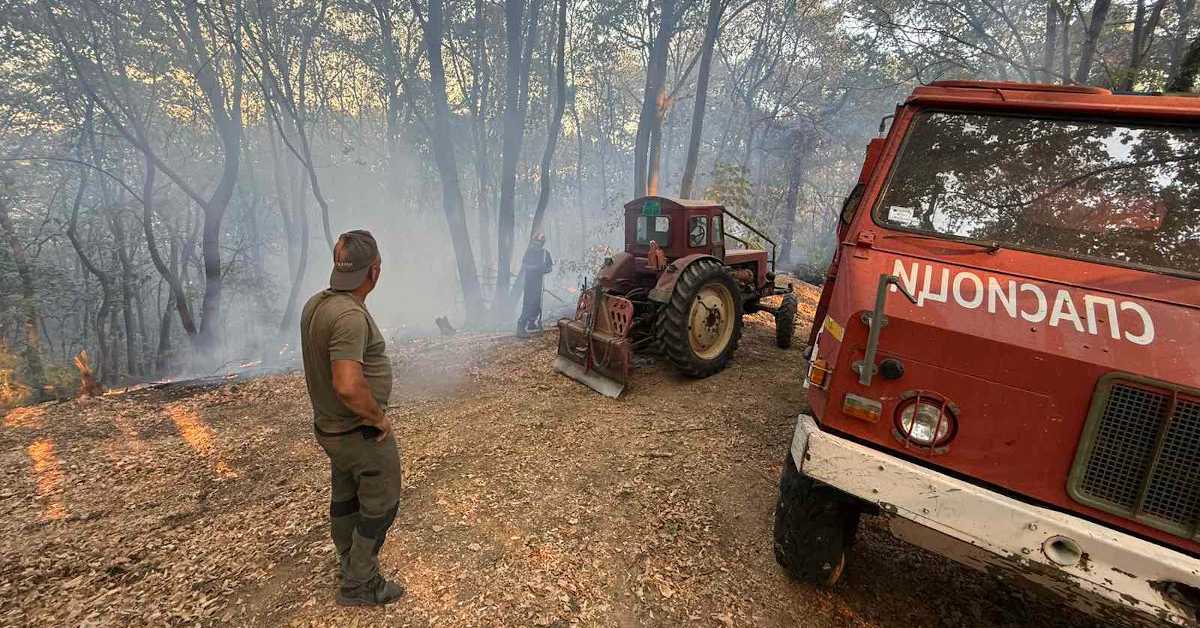 На више локација у Србији наставља се борба са пожарима, најтеже и даље у Делиблатској пешчари
