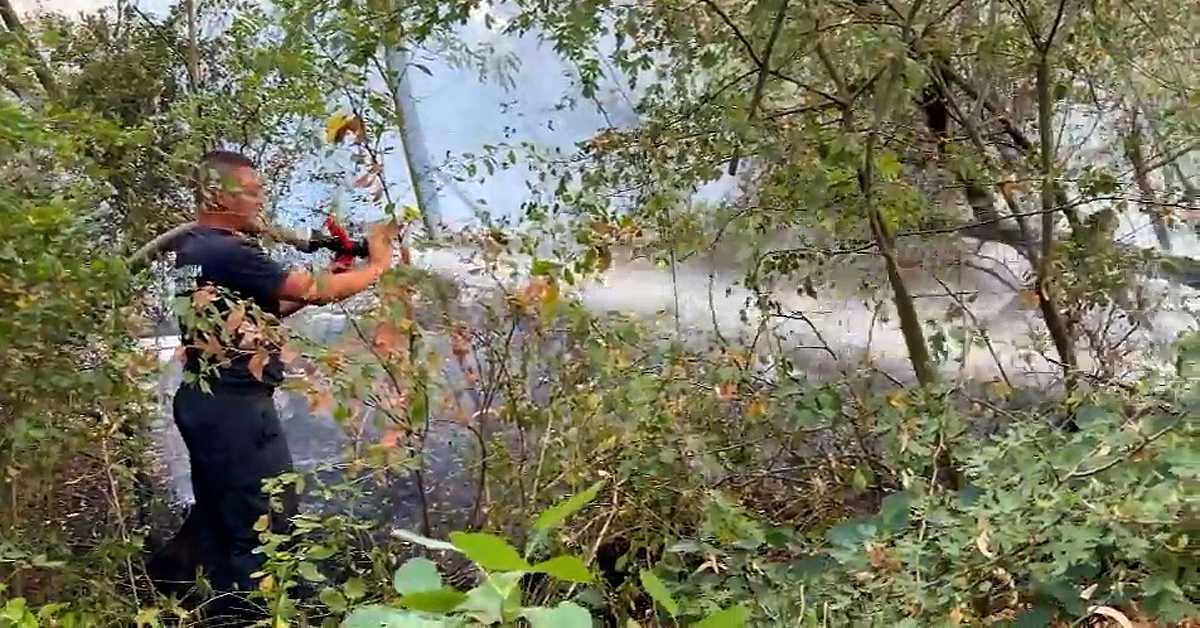 Борба са пожарима – Вучић у Делиблатској пешчари: Цивилно становништво није било угрожено ни једног секунда