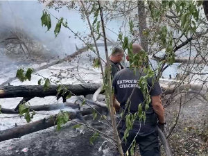 Пожари у Србији – на Столовима заустављено ширење ватре, боља ситуација у Делиблатској пешчари