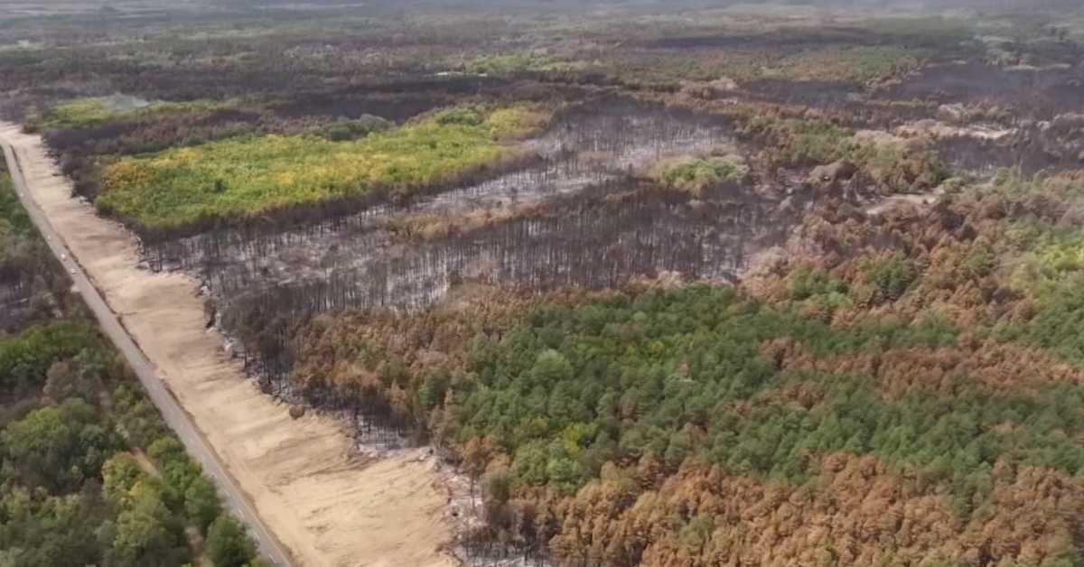 Ватрогасци у Делиблатској пешчари успевају да стабилизују ситуацију, активан пожар у селу Луково код Врања 