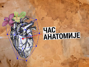 Час анатомије: Нови варваризам