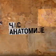 Час анатомије: О културној стратегији 