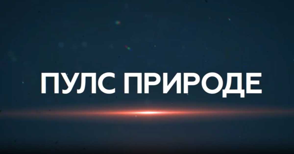 Пулс природе: Једрење Голубац