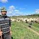 Еко перспективе: Јужнобанатска равница, први део