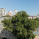 Претежно сунчано, на истоку и југоистоку променљиво облачно - до 36 степени