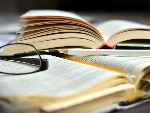 Хомункулус и Година у насељу