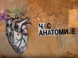 Час анатомије: Идеја грађанства