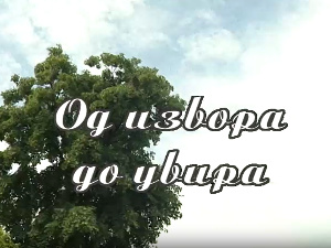 Од извора до увира