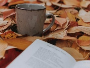Момчило Мошо Одаловић: „Магла"