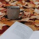 Момчило Мошо Одаловић: „Магла"