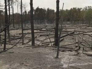 Угашен пожар у Делиблатској пешчари