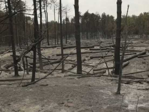 После 52 дана борбе са ватреном стихијом, угашен је пожар у Делиблатској пешчари