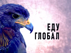 Еду глобал, 307. еп.