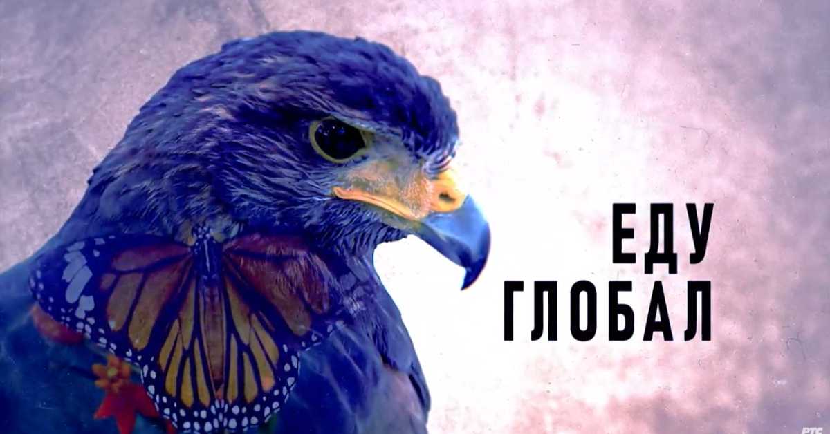 Еду глобал, 307. еп.
