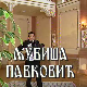 Постер Љубише Павковића
