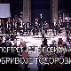 Портрет једног свирача