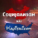 Социјализам или капитализам: Лидија Мишић
