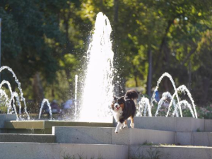 Свеже јутро, па топао дан – температура до 32 степена