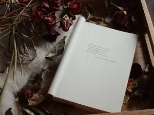 Бојан Марковић: XIII песма 