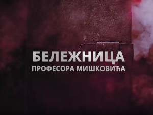Бележница професора Мишковића, 6-12
