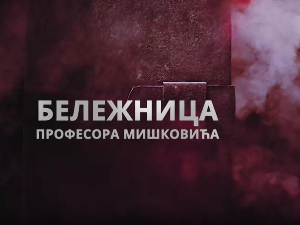Бележница професора Мишковића, 6-12